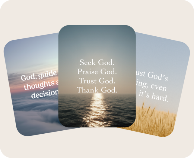 Customization preview